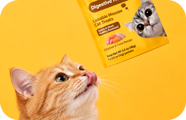 Ginger cat licking its lips under a Pawty pouch